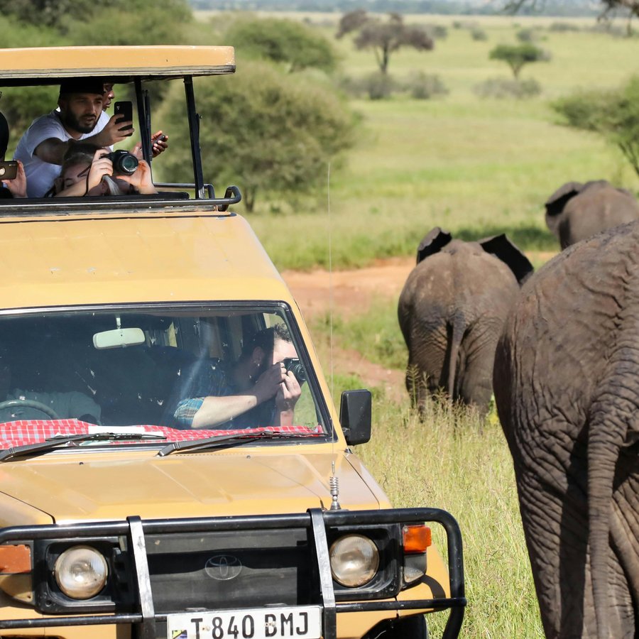 Looking out from a safari vehicle