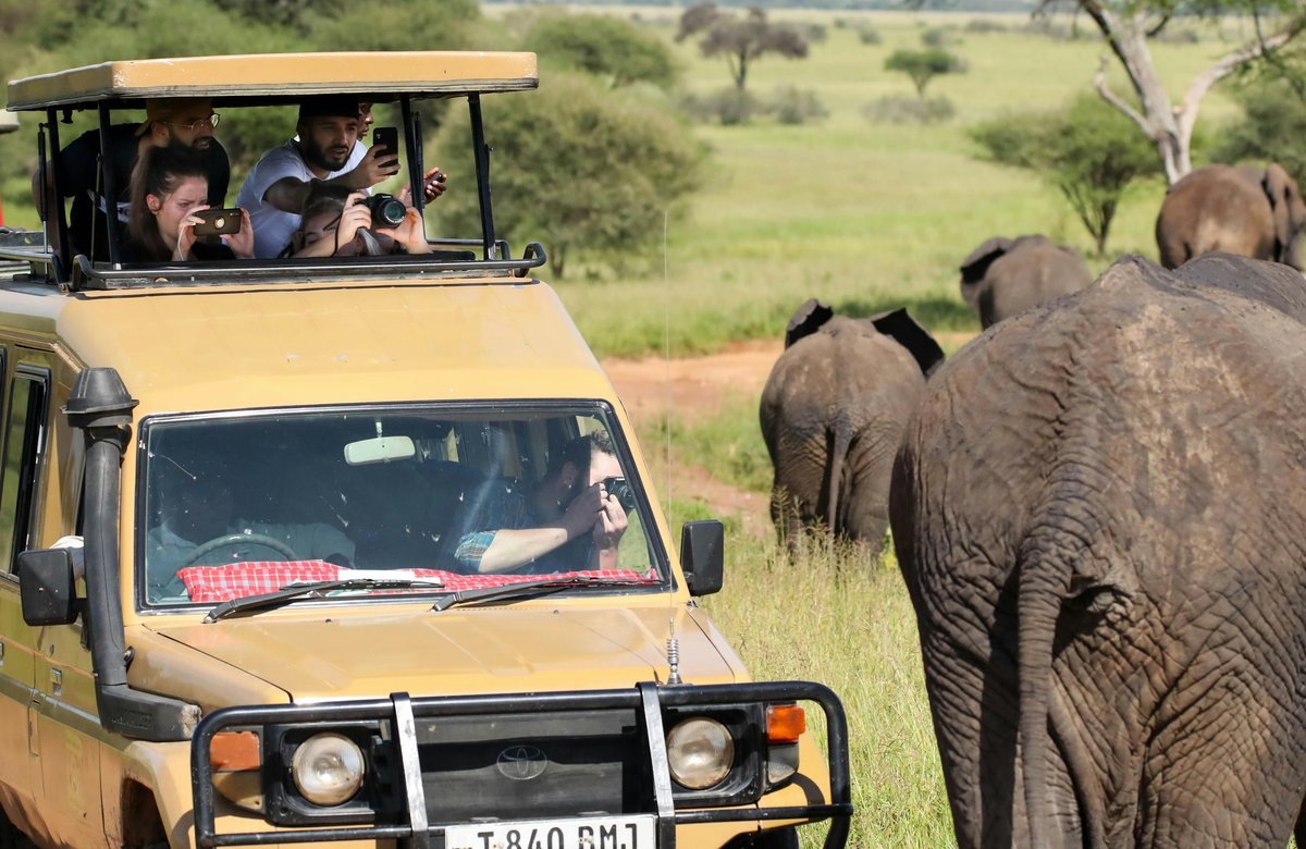 Guests on an open safari vehicle watching elephants